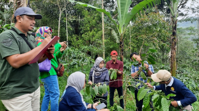Kopi termasuk komoditas perkebunan unggulan Indonesia