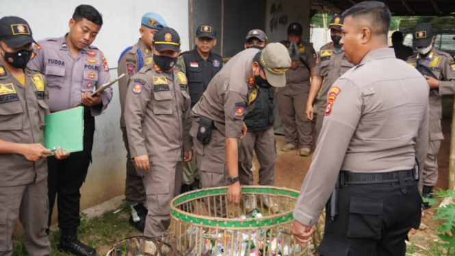  Satpol PP Kabupaten Tangerang melakukan penertiban PKL dan lokasi esek-esek