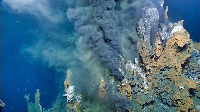 Ventilasi hidrotermal vulkanik di dasar laut mungkin telah membentuk kehidupan.