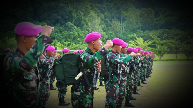 VIVA Militer: Pasukan Rajawali dan Beruang Hitam Marinir