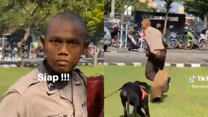 Polisi malah kabus saat melatih anjing pelacak