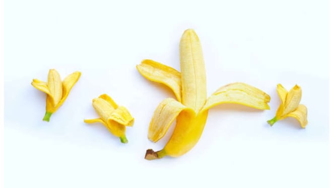 Ilustrasi pisang sebagai penis.
