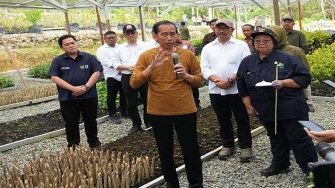 Presiden Jokowi saat meninjau persemaian Mentawir di IKN Nusantara