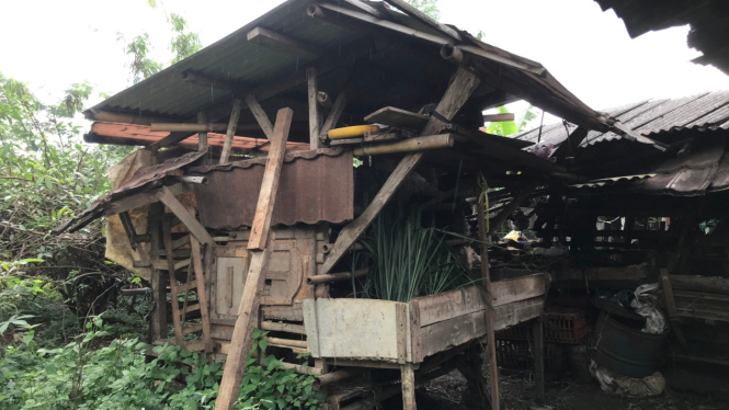 Kandang kambing milik Musa di Depok, Jawa Barat