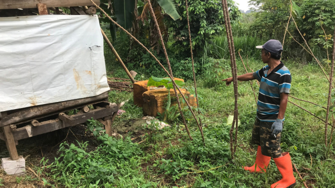 Pemilik kambing Warga Depok Paryono Jarwo menunjukkan lokasi kejadian pencurian.