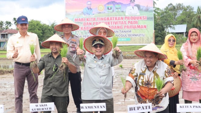 Wamentan tanam padi dan panen jagung di Padang