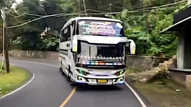 VIVA Otomotif: Bus Kids Panda Tunggal Jaya