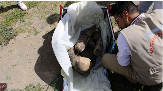 Mumi Berumur 8 Abad Ditemukan dalam Tas Kurir Pengantar Makanan. 