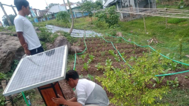 Mahasiswa UTS Ciptakan Smart Farming Alat Penyiraman Tanaman Otomatis