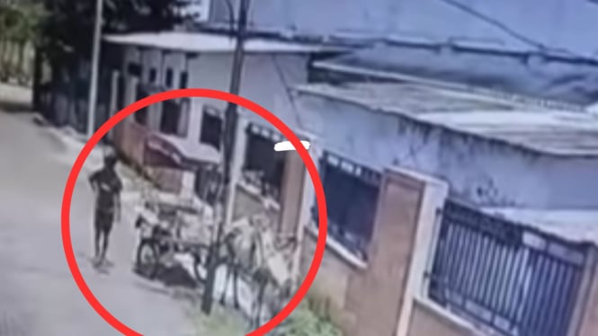 Aksi maling kuda delman di Semarang terekam CCTV