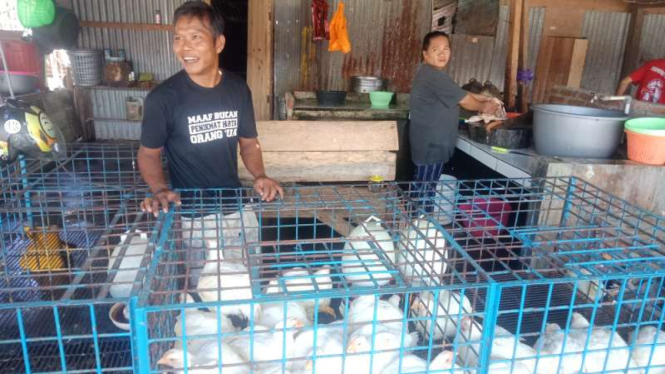 Harga ayam potong naik di pasar tradisional Mamuju, Sulawesi Barat