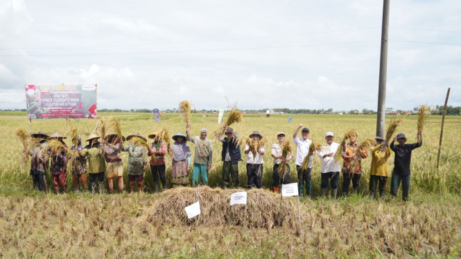 Kegiatan Panen Padi Nusantara Satu Juta Hektare di Serang