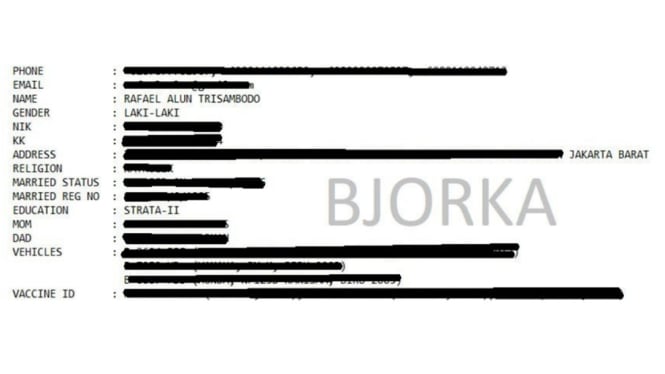 Hacker Bjorka merilis data pribadi yang diduga milik Rafael Alun Trisambodo.
