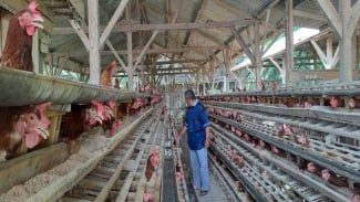  Bawang hingga Telur Ayam Naik