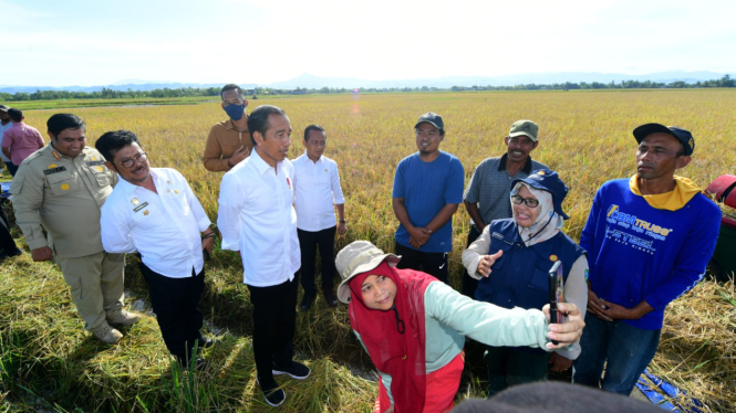 Presiden Jokowi tinjau panen raya padi di Kabupaten Maros, Sulawesi Selatan