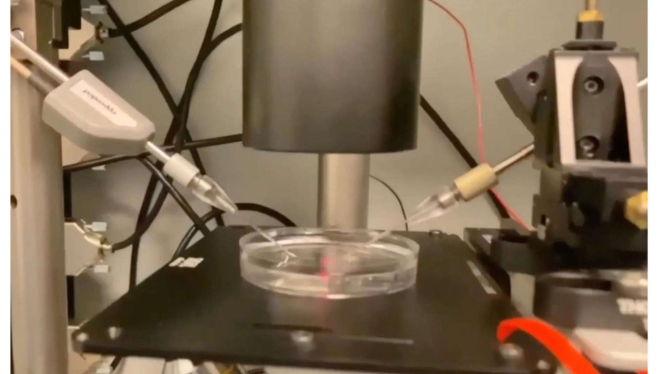 Teknologi bayi yang lahir dari sperma dikendalikan oleh robot