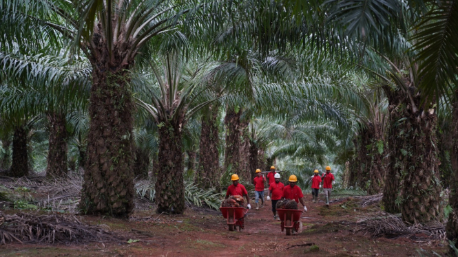 Mengenal Net Zero Emissions Alias Nol Emisi Karbon