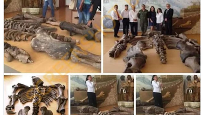 Jepretan layar (screenshot) sebuah akun Twitter mengunggah cuitan berupa beberapa foto yang diklaim merupakan penemuan fosil manusia raksasa setinggi 7 meter yang berasal dari manusia purba yang tingginya mencapai 12 meter.