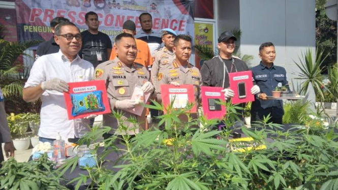 Kapolresta Tangerang Kombes Pol Sigit Dany Setiyono merilis kasus ganja 