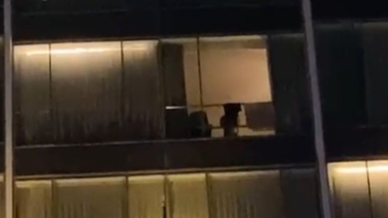 Bokep anak kecil mesum di hotel