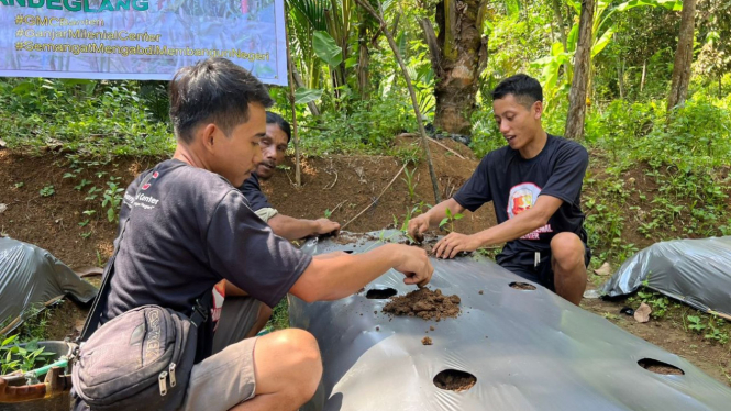 Milenial Banten antusias ikuti latihan menanam Cabai