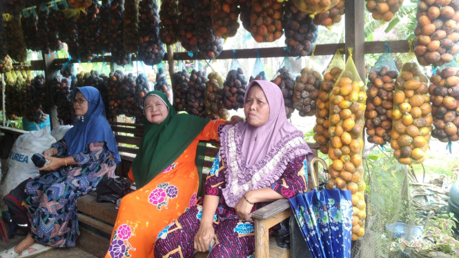 Emak-emak petani pinang, Geragai, Jambi