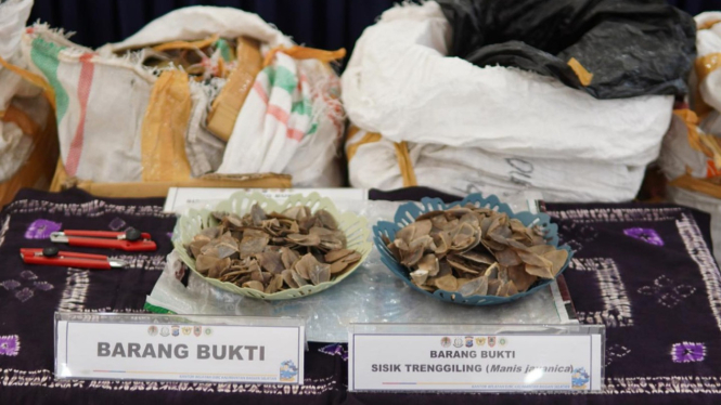 Bea Cukai gagalkan penyelundupan sisik tenggiling