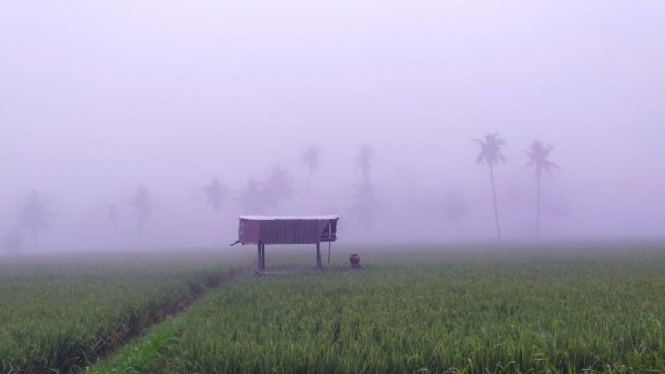 Kondisi Kabut Pagi Hari di Desa Tempos, Lombok Barat NTB