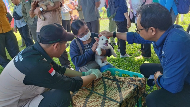 Pemberian vaksin anti rabies kepada hewan di Kabupaten Sintang.