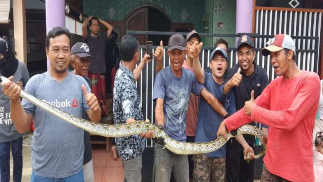 Warga RT 04, Cilangkap, Kecamatan Tapos, Depok menangkap ular.