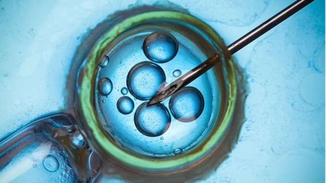 Embrio tanpa sel telur dan sperma