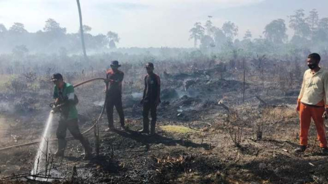 Petugas BPBD melakukan upaya pemadaman kebakaran hutan dan lahan di salah satu titik di Kabupaten Nagan Raya, Provinsi Aceh, Rabu, 21 Juni 2023.
