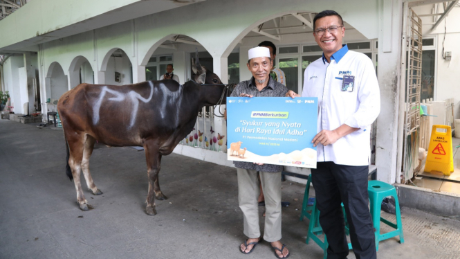 PNM menyalurkan hewan kurban di berbagai titik di seluruh Indonesia