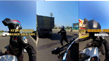 Viral Provos Diuber Sapi di Exit Tol Ancol