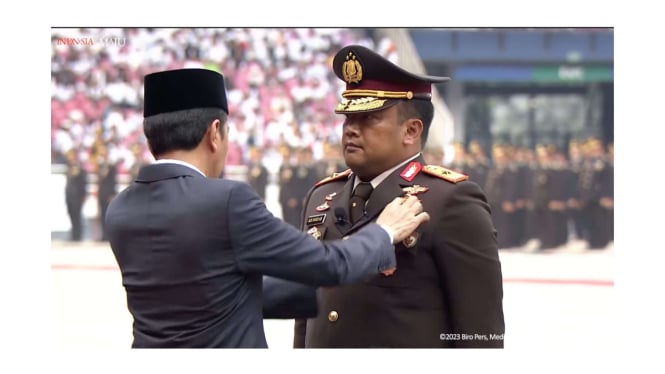 Presiden Jokowi berikan penghargan ke Brigjen Adi Vivid