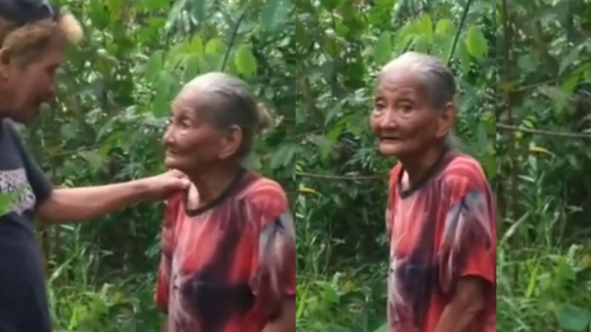 Viral Nenek 83 Tahun Dituduh Curi 20 Buah Kelapa Begini Faktanya 6654