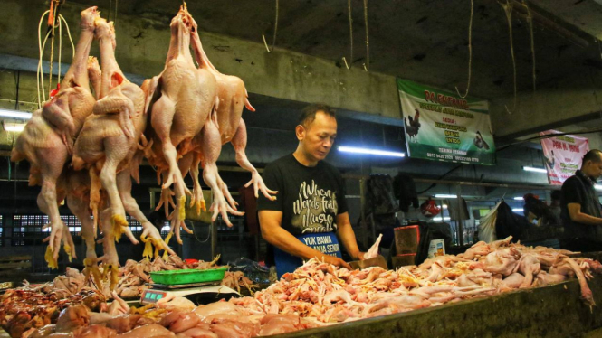 Pedagang daging ayam di pasar tradisional.