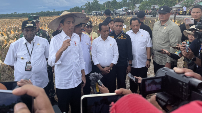 Presiden Jokowi Tinjau Ladang Jagung di Kabupaten Keerom Papua