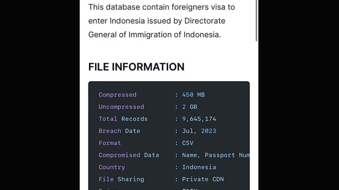 Bjorka diduga bocorkan data visa WNA.