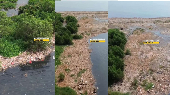 Pantai Mangrove Muara Angke Penuh dengan Sampah