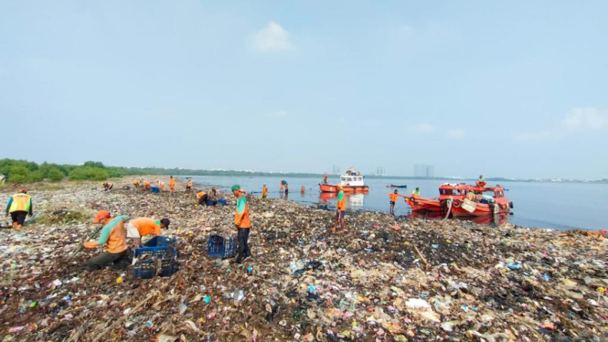 Tumpukan sampah di Pantai Mangrove, Jakarta Utara Dibersihkan Pemprov DKI
