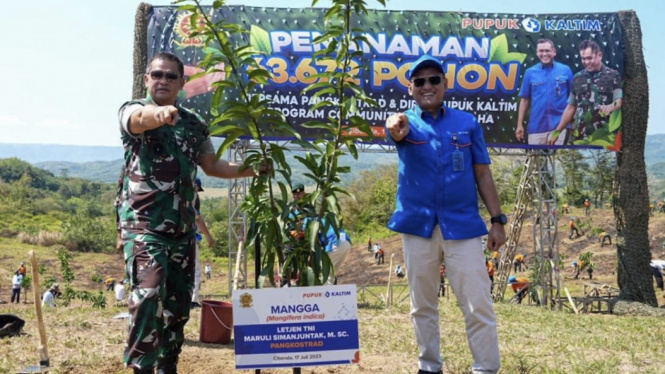 VIVA Militer: Pangkostrad Letjen TNI Maruli Simanjuntak tanam 63.000 pohon keras