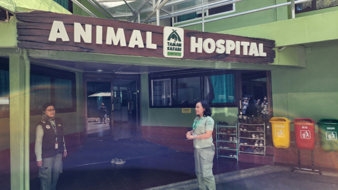 Rumah sakit hewan di Taman Safari Indonesia, Bogor.
