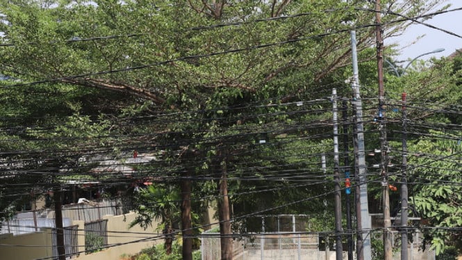 Pansus di DPRD Sebut Kabel-kabel di Jakarta Akan Segera Dimasukkan Dalam Tanah