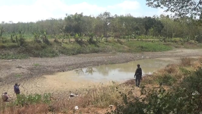 Salah satu embung yang kering di Desa Mangunan, Kabuh, Jombang