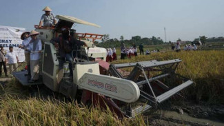 Antisipasi Kecelakaan di Tol karena Asap Pembakaran Jerami, Pupuk Indonesia Lakukan Ini