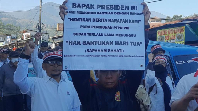 Ratusan orang yang mewakili ribuan pensiunan perusahaan milik negara PT Perkebunan Nusantara VIII (PTPN VIII) mengelar aksi unjuk rasa dari perkebunan teh di Puncak, Bogor, Jawa Barat, menuju Istana Merdeka, Jakarta, Senin 21 Agustus 2023.