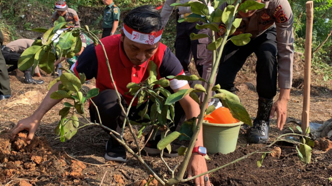 Ketua DPRD Jambi Edi Purwanto tanam bibit pohon di Danau Sipin, Kota Jambi