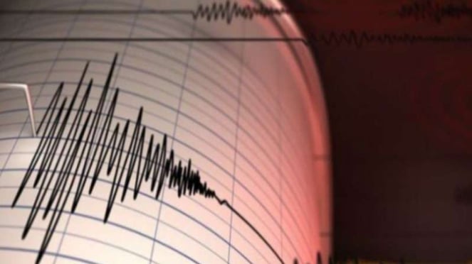 Ejemplo: un sismógrafo registra las vibraciones de un terremoto.