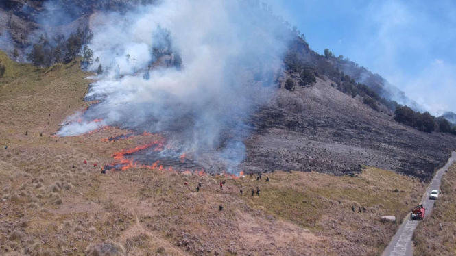 Padang Savana Bromo terbakar.